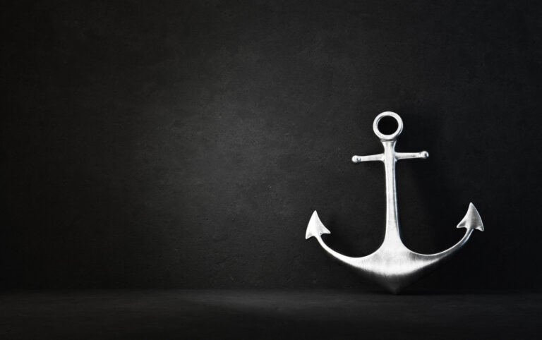 Read more about the article Anchoring Your Organization in a Time of Sea Change